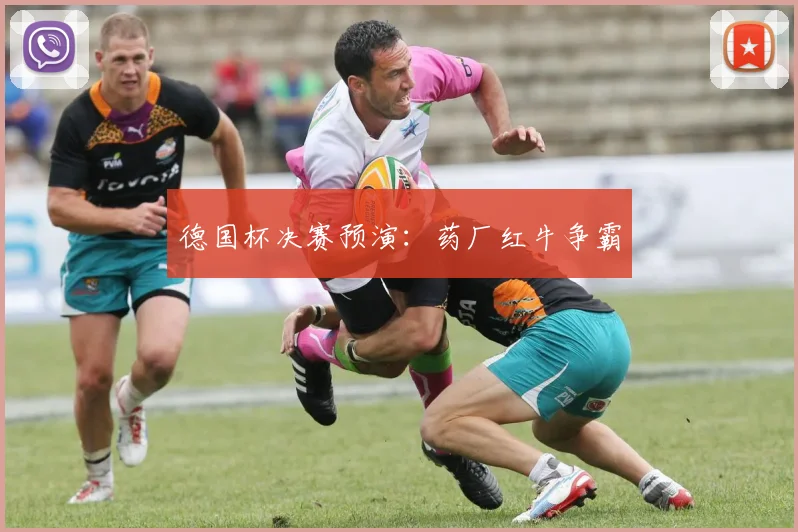德国杯决赛预演:药厂红牛争霸