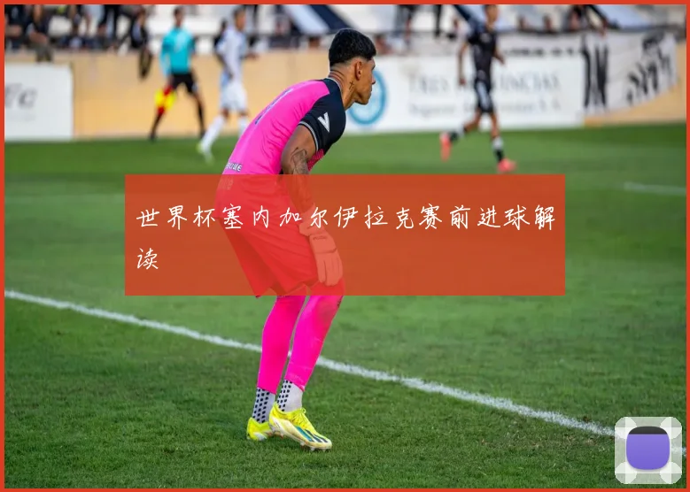 世界杯塞内加尔伊拉克赛前进球解读
