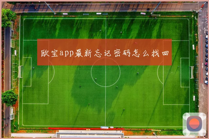 欧宝app最新忘记密码怎么找回