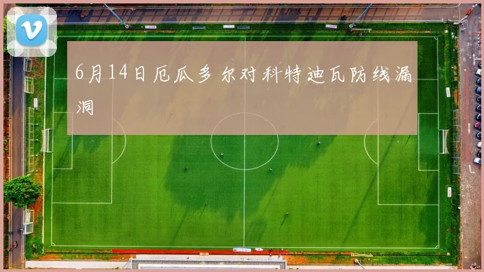 6月14日厄瓜多尔对科特迪瓦防线漏洞