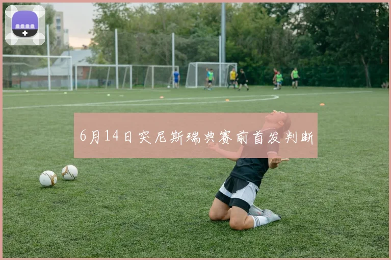 6月14日突尼斯瑞典赛前首发判断